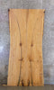 Thumbnail for 2- Rustic Live Edge Ash Bookmatched Dining Table Top Slabs 20588-20589