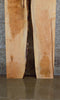 Thumbnail for 2- Live Edge Bookmatched Maple Dining Table Top Slabs CLOSEOUT 20619-20620