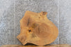 Thumbnail for Live Edge Ash Wood Tree Slice End/Side/Coffee Table Top Slab 20711