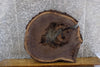 Thumbnail for Black Walnut Round Cut Live Edge Bark Coffee Table Top Slab 20717