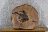 Thumbnail for Black Walnut Round Cut Live Edge Bark Coffee Table Top Slab 20717