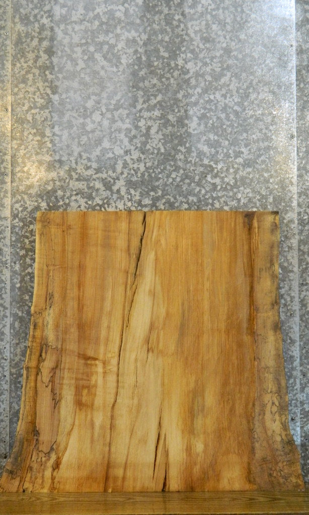 Live Edge Spalted Maple Rustic Table Top Slab CLOSEOUT 20719