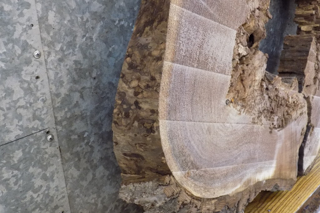 Live Edge Round Cut Black Walnut Epoxy Project/Table Top Slab 20721