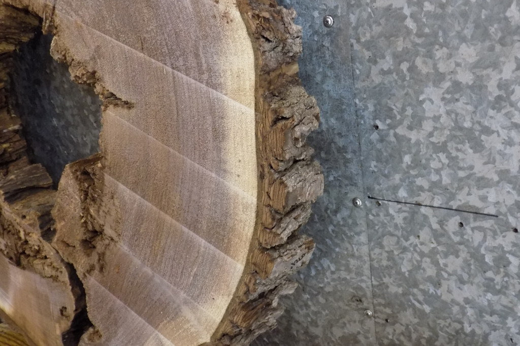 Live Edge Round Cut Black Walnut Epoxy Project/Table Top Slab 20721