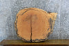 Thumbnail for Live Edge Salvaged Round Cut Locust Accent/Side Table 20727