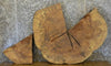 Thumbnail for 2- Rustic Round Cut Ash Split Board/Sofa Table Top Slab 20728