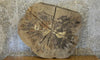 Thumbnail for 2- Rustic Round Cut Ash Split Board/Sofa Table Top Slab 20728