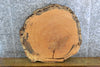 Thumbnail for Live Edge Locust Round Cut Sofa/Side Table Top Slab 20754