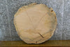 Thumbnail for Live Edge Locust Round Cut Sofa/Side Table Top Slab 20754