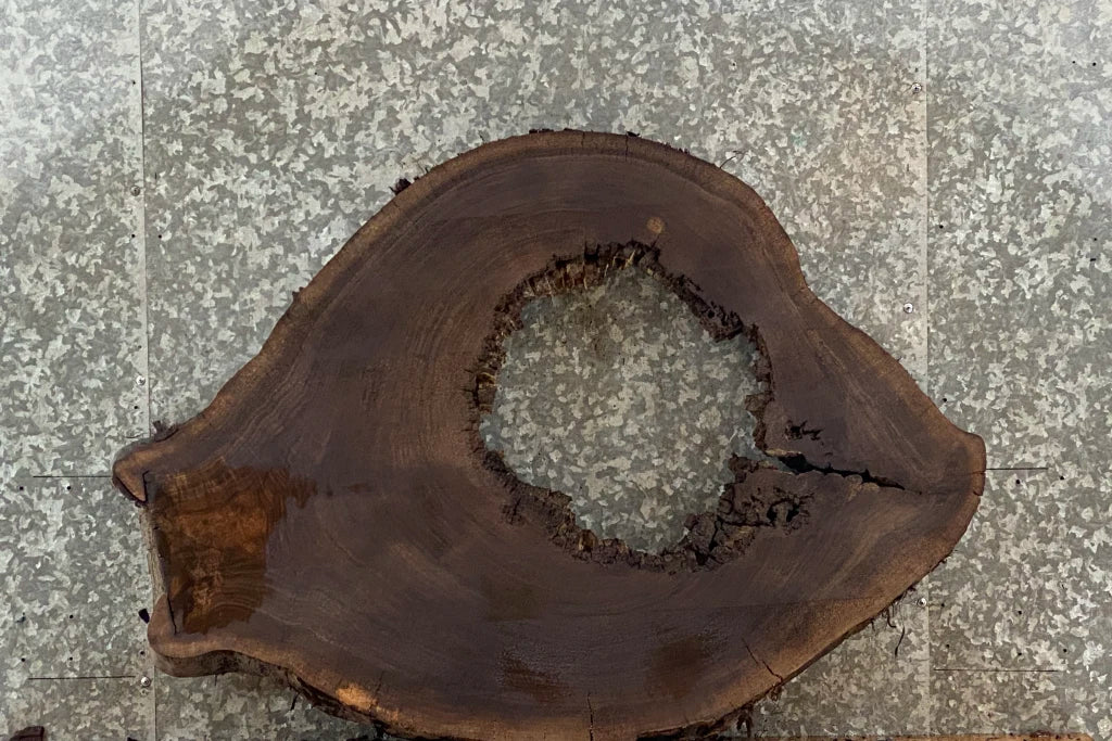 Live Edge Black Walnut Oval Cut/Tree Log Slice 20759