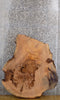 Thumbnail for Thick/Round Cut Live Edge Ash Coffee Table Wood Slab CLOSEOUT 20775