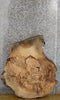 Thumbnail for Thick/Round Cut Live Edge Ash Coffee Table Wood Slab CLOSEOUT 20775