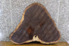 Thumbnail for Black Walnut Oval Cut Coffee Table Top Wood Slab CLOSEOUT 20782