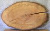 Thumbnail for Live Edge Large Ash Oval Cut Coffee Table Top Slab CLOSEOUT 20789