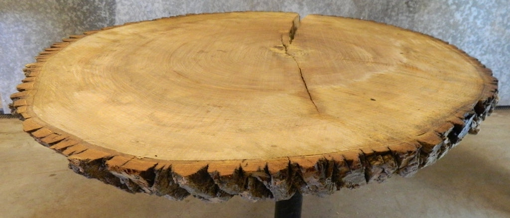 Live Edge Large Ash Oval Cut Coffee Table Top Slab CLOSEOUT 20789