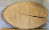 Thumbnail for Live Edge Large Ash Oval Cut Coffee Table Top Slab CLOSEOUT 20789