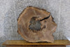 Thumbnail for Natural Edge Black Walnut Round Cut Coffee Table Top Slab 20804