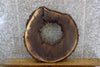 Thumbnail for Salvaged Round Cut Live Edge Black Walnut Side Table Top Slab 20816