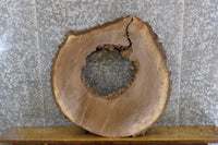 Thumbnail for Salvaged Round Cut Live Edge Black Walnut Side Table Top Slab 20816