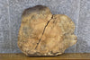 Thumbnail for Live Edge Round Cut Rustic Spalted Maple Side Table Top Slab 20827