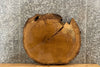 Thumbnail for White Oak Live Edge Tree Log Slice/Circle Cut 20839