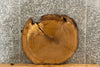 Thumbnail for White Oak Live Edge Tree Log Slice/Circle Cut 20839