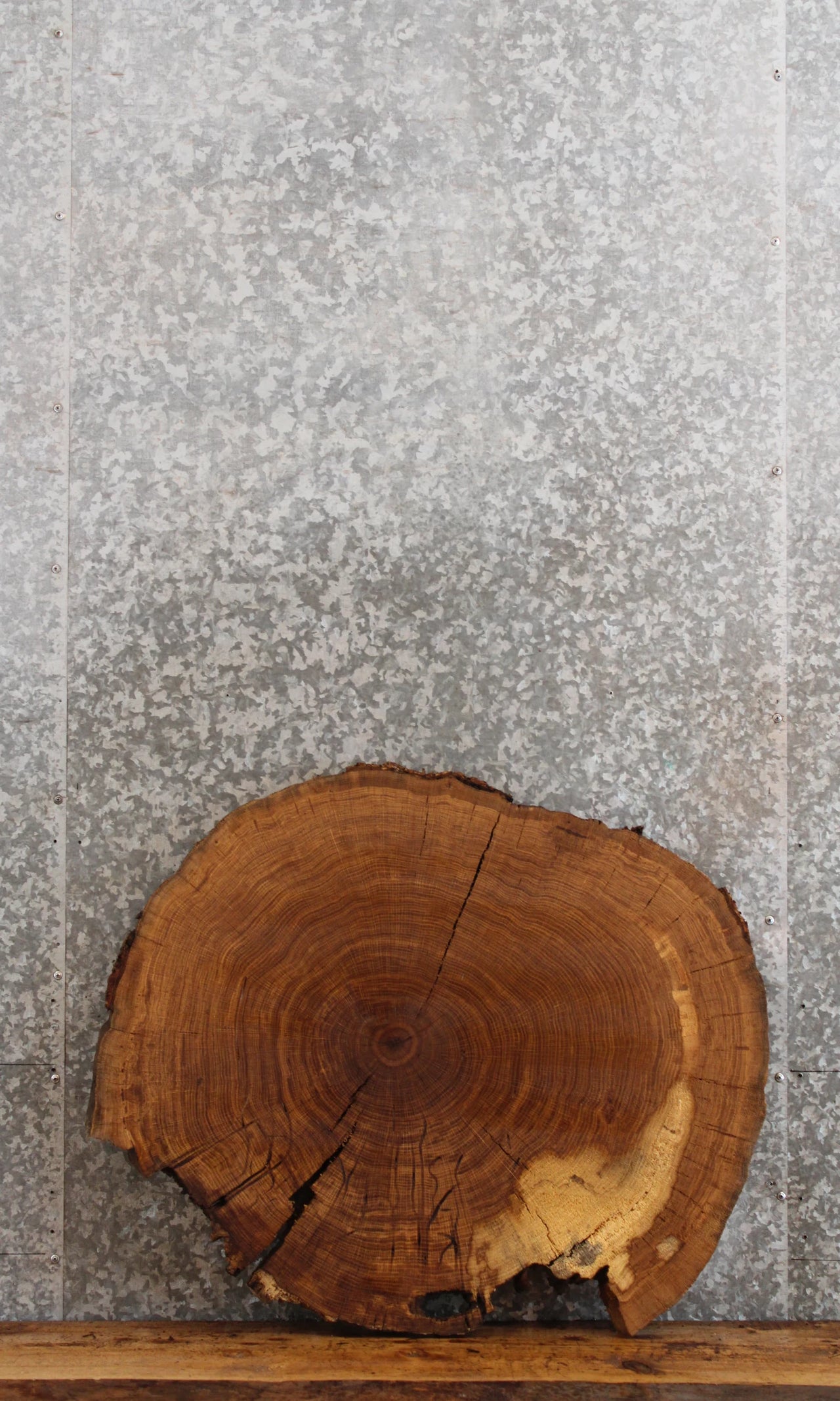 Live Edge Oak Circle Cut Tree Slice/Coffee Table Top 20841