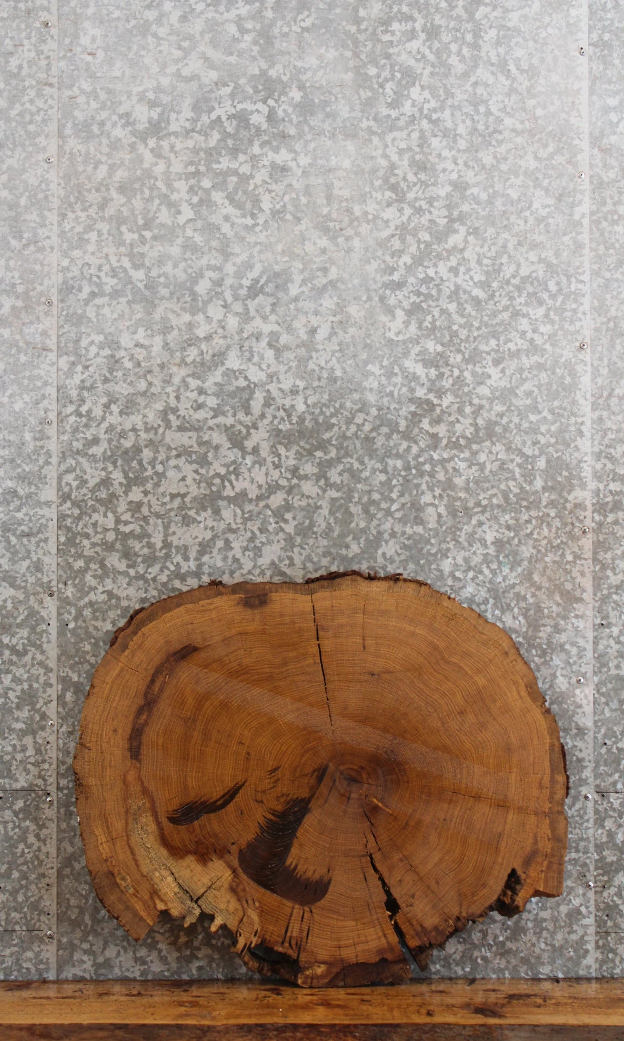 Live Edge Oak Circle Cut Tree Slice/Coffee Table Top 20841