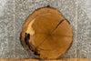 Thumbnail for Live Edge White Oak Circle/Round Wood Tree Slice 20843