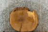 Thumbnail for White Oak Live Edge Circle Cut/Side Table 20859