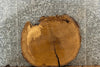 Thumbnail for Live Edge Oak Circle Cut/Side Table 20862