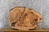 Thumbnail for 2- Oval Cut Live Edge Ash Table Top/Split Board Slabs 20895