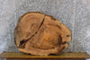 Thumbnail for 2- Live Edge Rustic Oval Cut Ash Table Top/Split Board Slabs 20896