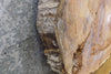 Thumbnail for 2- Live Edge Rustic Oval Cut Ash Table Top/Split Board Slabs 20896