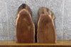 Thumbnail for 2- Black Walnut Oval Cut Partial Live Edge DIY Charcuterie Boards 231-232