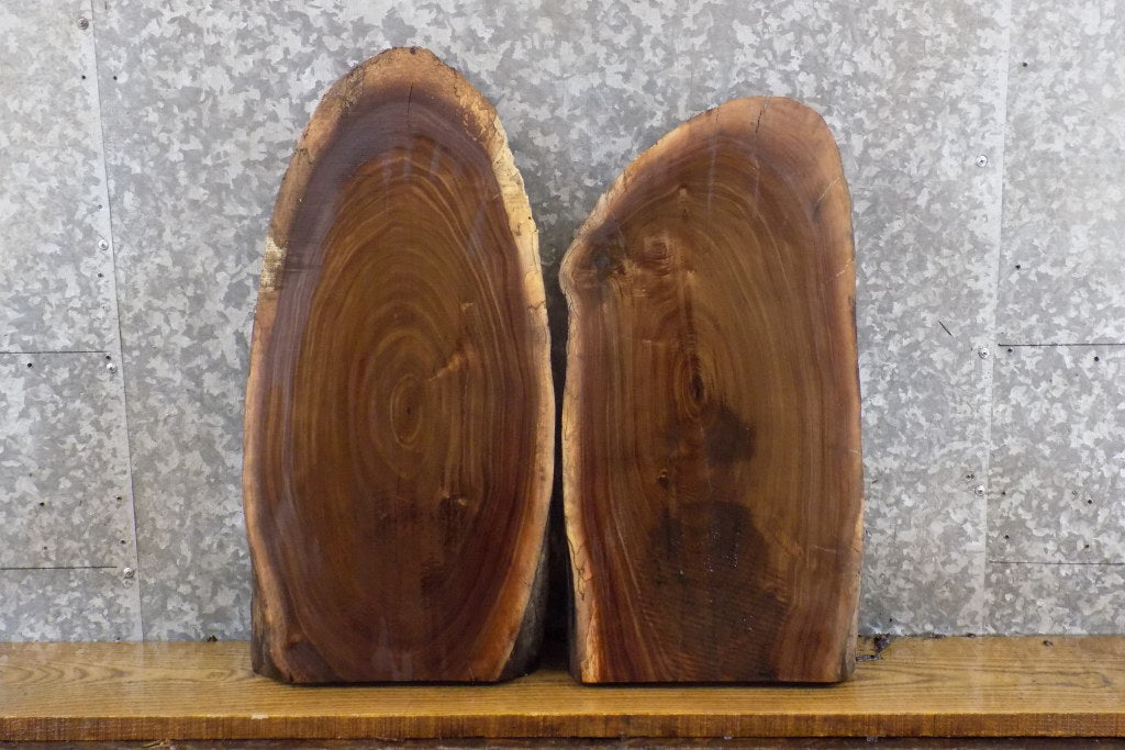 2- Black Walnut Oval Cut Partial Live Edge DIY Charcuterie Boards 231-232