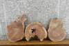 Thumbnail for 3- Black Walnut Round Cut Live Edge Craft Pack Wood Slabs 247