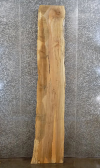 Thumbnail for Live Edge Spalted Maple Bar/Counter Top Wood Slab CLOSEOUT 269