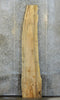 Thumbnail for Natural Edge Spalted Maple Bar Top Wood Slab CLOSEOUT 298