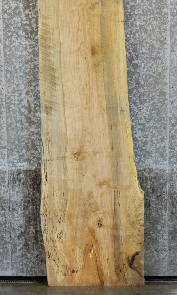 Natural Edge Spalted Maple Bar Top Wood Slab CLOSEOUT 298