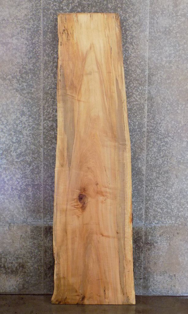 Natural Edge Maple Bar/Reception Table Top Slab CLOSEOUT 300