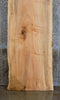 Thumbnail for Natural Edge Maple Bar/Reception Table Top Slab CLOSEOUT 300