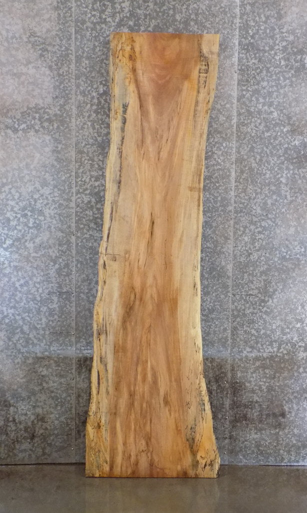 Live Edge Reclaimed Spalted Maple Reception Table/Bar Top Slab 305