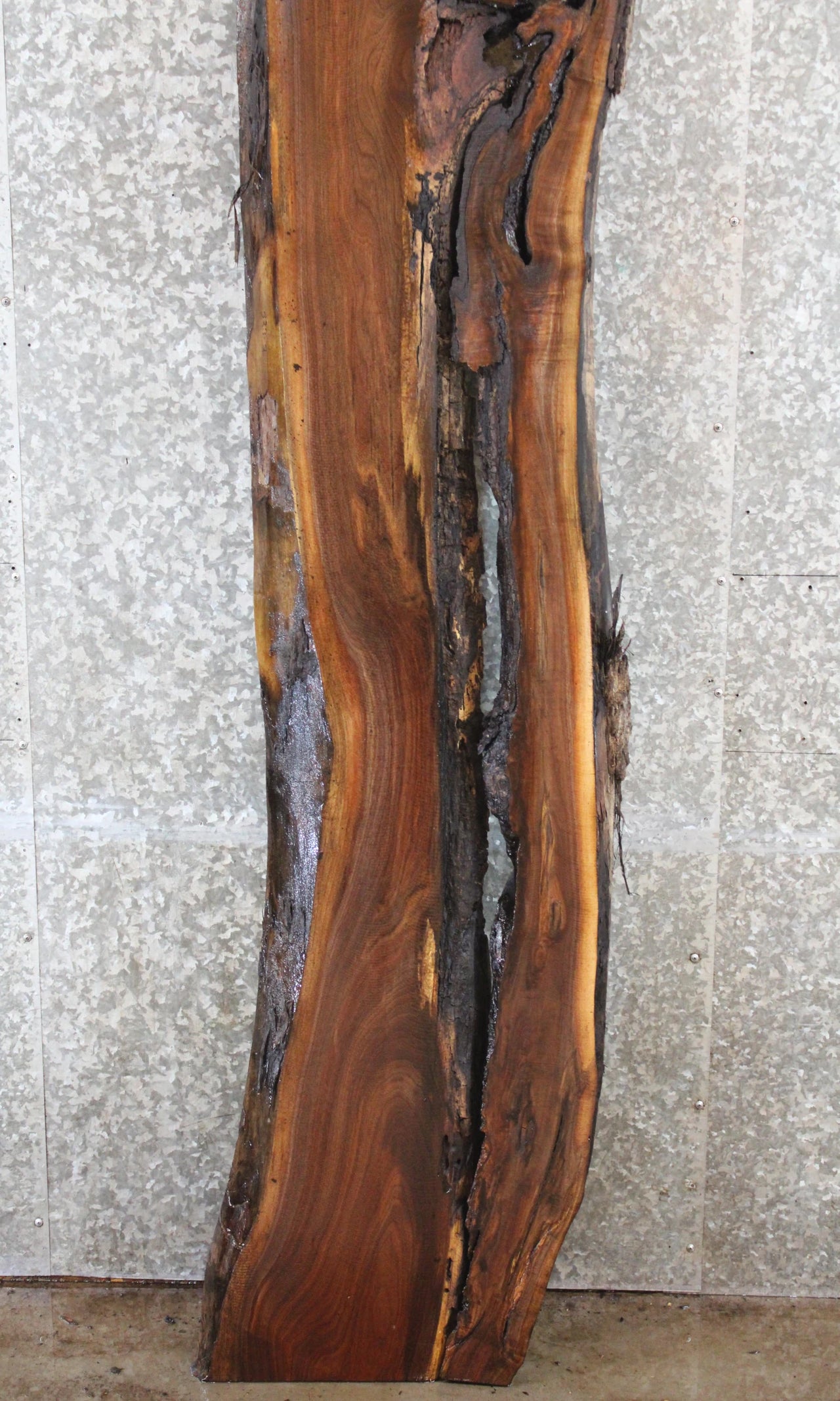 2- Salvaged Live Edge Black Walnut Bar Top Slab CLOSEOUT 323