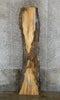 Thumbnail for Rustic Spalted Maple Live Edge Bar Top Wood Slab CLOSEOUT 33