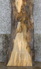 Thumbnail for Rustic Spalted Maple Live Edge Bar Top Wood Slab CLOSEOUT 33