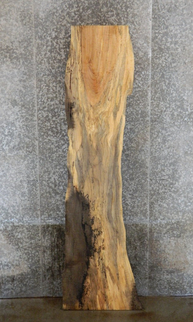 Rustic Spalted Maple Live Edge Bar Top Wood Slab CLOSEOUT 33