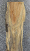 Thumbnail for Rustic Spalted Maple Live Edge Bar Top Wood Slab CLOSEOUT 33