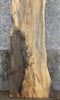 Thumbnail for Rustic Spalted Maple Live Edge Bar Top Wood Slab CLOSEOUT 33