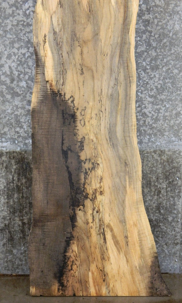 Rustic Spalted Maple Live Edge Bar Top Wood Slab CLOSEOUT 33